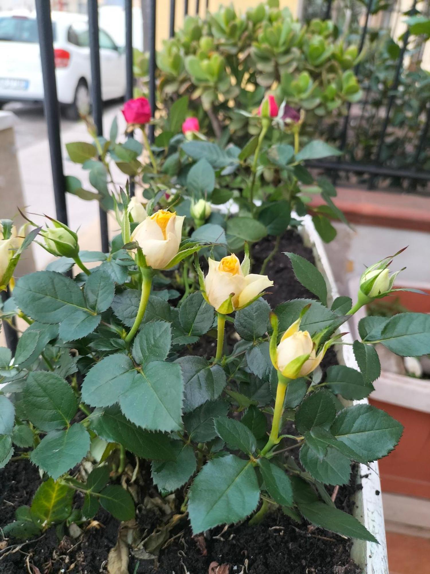 巴勒莫Ciuridda Mia公寓 外观 照片